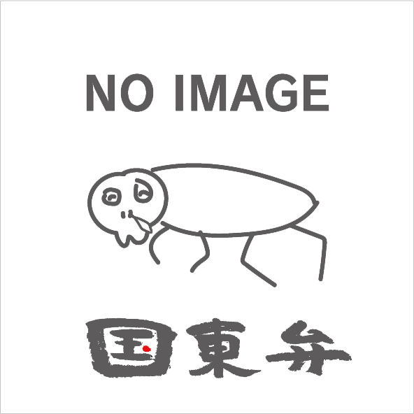 ずるを表した絵